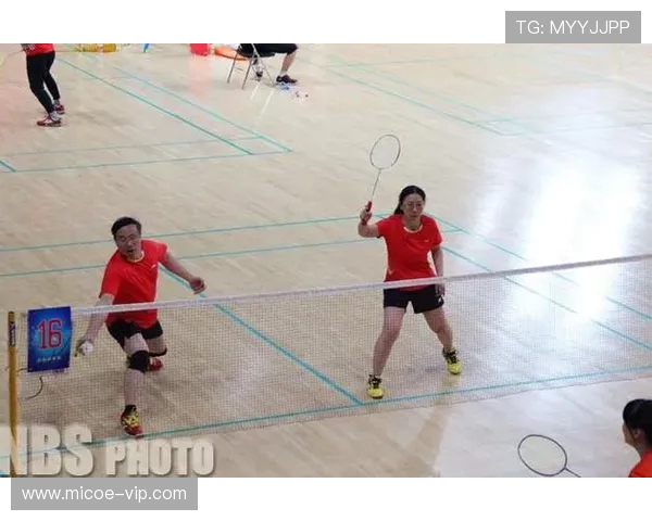 杭州羽毛球队与西安羽毛球队赛后战术分析与总结探讨 杭州羽毛球队与西安羽毛球队赛后战术分析与总结探讨