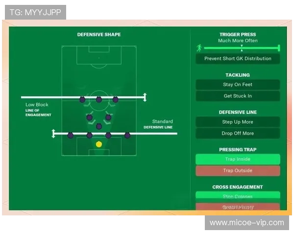 深入分析成都足球队的区域防守战术及其在比赛中的应用效果