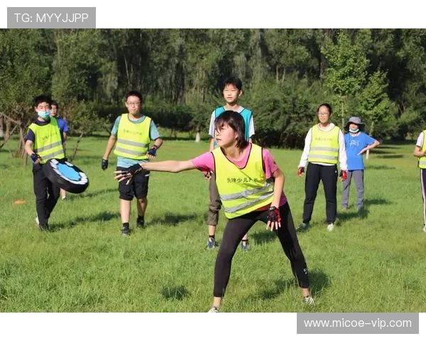 武汉飞盘队的区域防守体系与飞盘战术的深度解析与实践探索