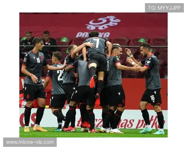 亚美尼亚与波兰足球赛精彩直播全程回顾与分析