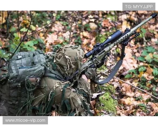 保加利亚与科索沃激战在即六月十日精彩对决值得期待
