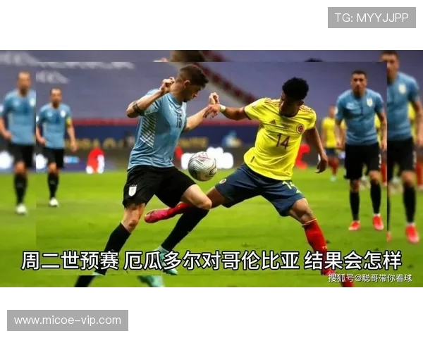 厄瓜多尔与哥伦比亚激战在即谁能在南美洲赛场上笑到最后