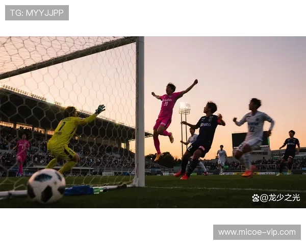 新泻天鹅迎战大阪樱花期待精彩对决揭开新赛季的序幕