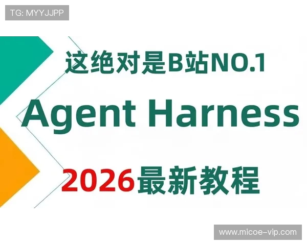 北京极限运动队快攻战术深度解析与实战应用探讨