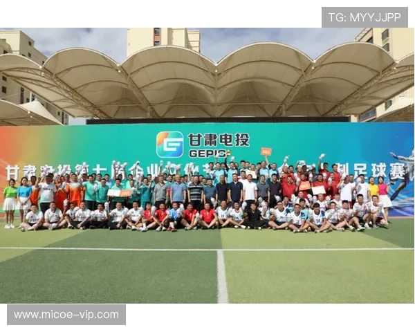 南京足球队在冠军赛中的意识表现分析与总结