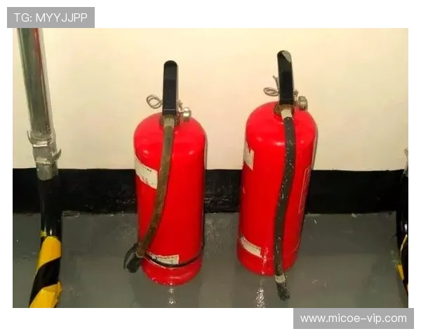 吴芳独家分享篮球心得与技巧助你提升球技的全面指南