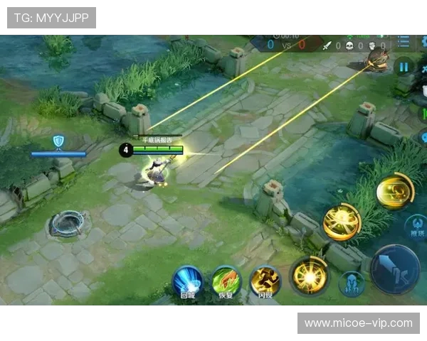 张芳独家分享王者荣耀游戏心得与技巧助你快速提升段位与战斗力